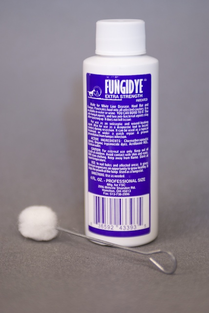 Fungidye